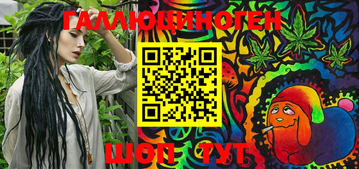 Галлюциногенные грибы Psilocybe Псков